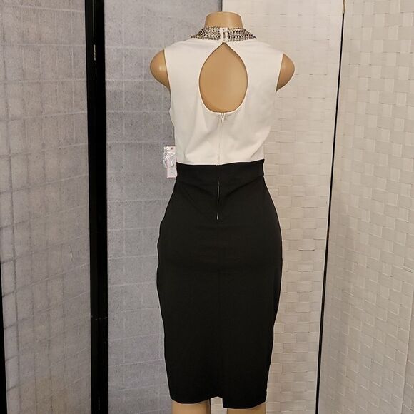 BRAND NEW BISSOU BISSOU MOCK JEWEL NECK SLEEVELESS SHEATH DRESS - Picture 6 of 14